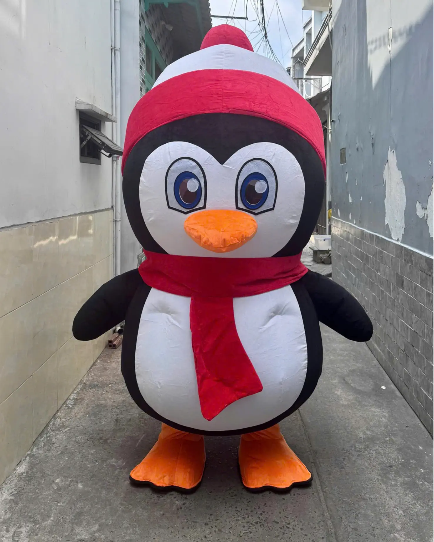 Mascot Chim Cánh Cụt 1 Mascot Chim Cánh Cụt